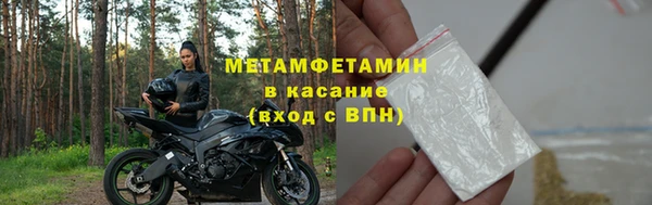 шишки Арсеньев