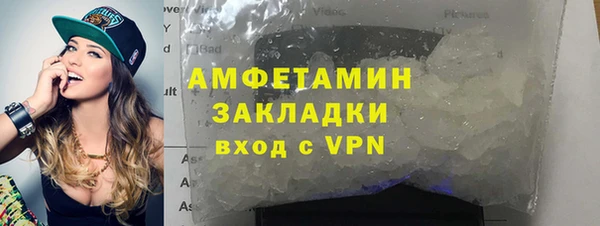 шишки Арсеньев