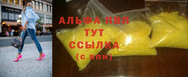 шишки Арсеньев
