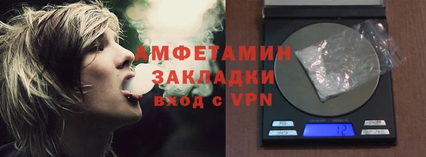 шишки Арсеньев