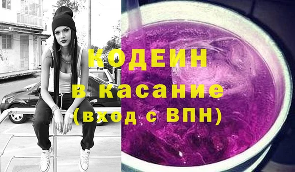 шишки Арсеньев