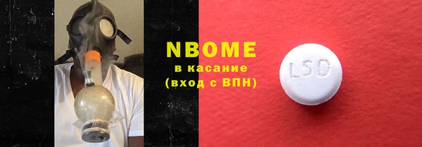 шишки Арсеньев