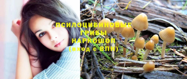 СК Аркадак