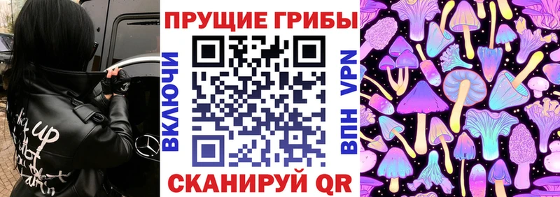 Псилоцибиновые грибы прущие грибы  Купить где  Задонск 
